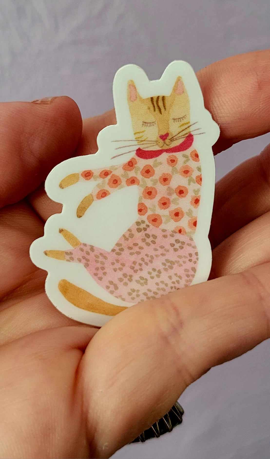 Stickers "Abricot le petit chat"