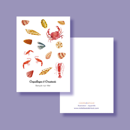 carte postale coquillage et crustacés Banyuls-sur-Mer